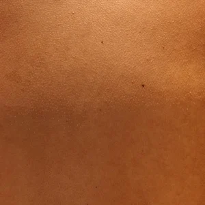 Classic Tan Passport Cover